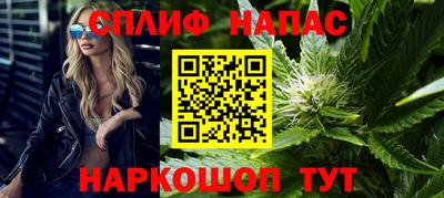 СК Славгород