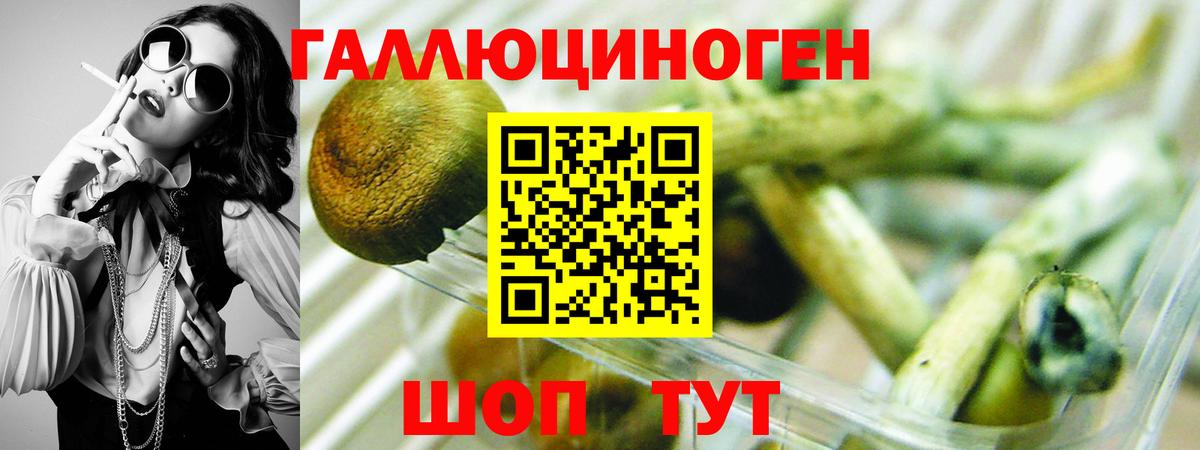 хочу наркоту  Галлюциногенные грибы прущие грибы  Вход с VPN  Геленджик 